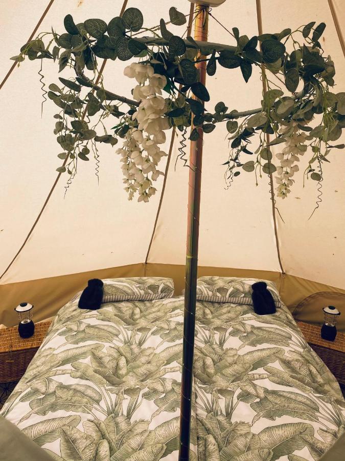 Duneden Belle Glamping Randalstown Exterior photo